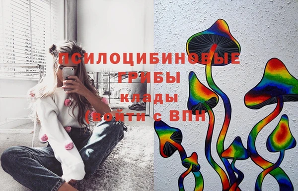 СК Алексеевка