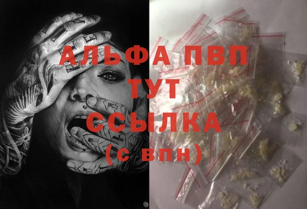 гидра Алексин